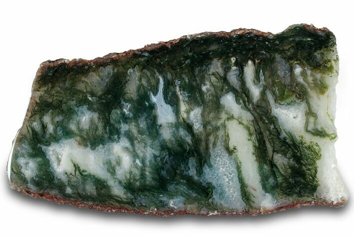 Polished Prineville Reservoir Moss Agate Slab - Oregon #302895